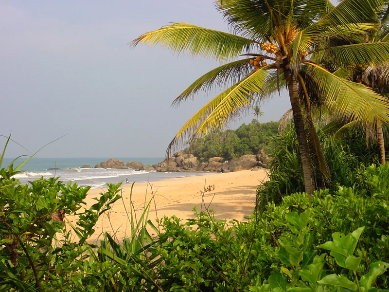 Beach at Induruwa on Sri Lanka’s south-west coast.