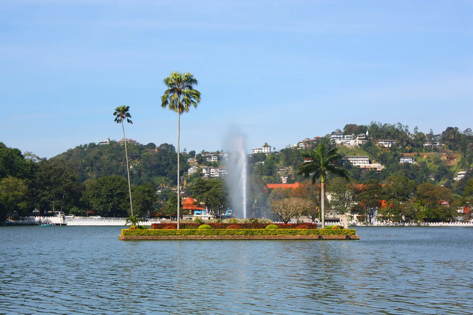 The tree-covered island and surrounding water of Kandy Lake, Sri Lanka.
