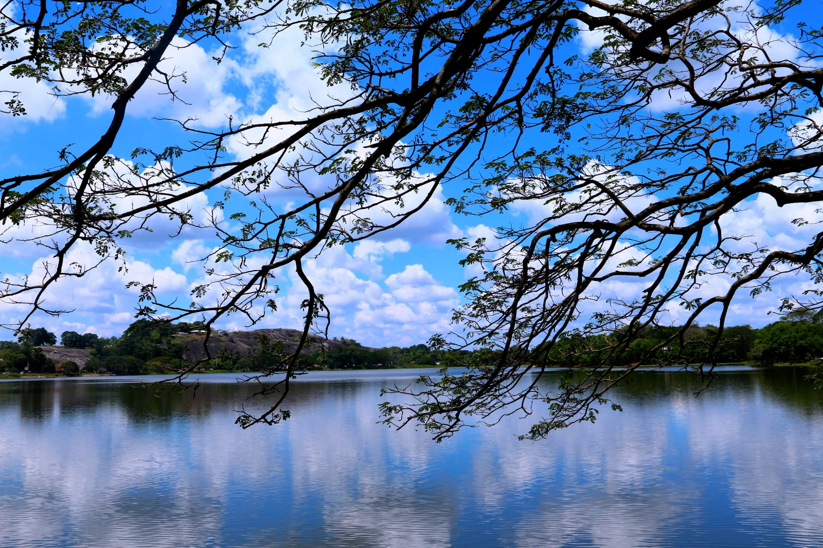 Kurunegala Lake and its green surroundings, Sri Lanka.