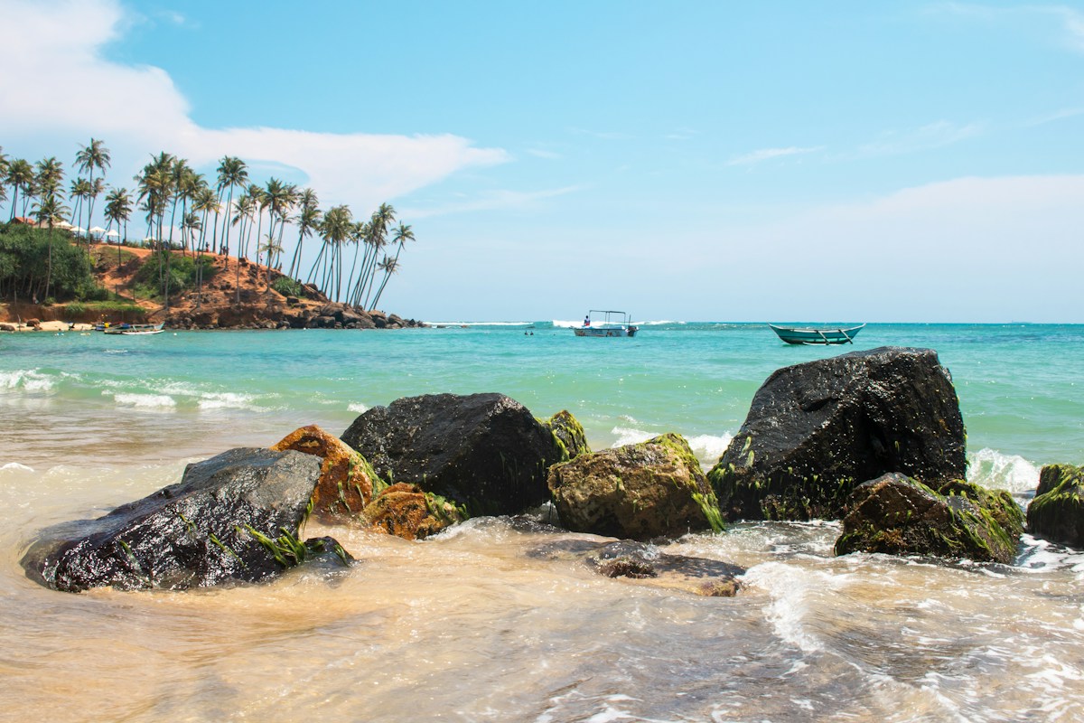 Palm-lined coast and turquoise sea at Mirissa, Sri Lanka
